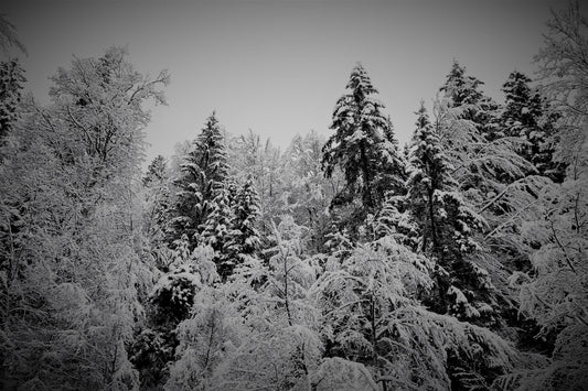 Snow, Ice and Wind. Burr!