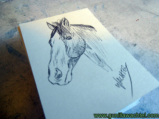 Daily Drawings or just Studio Updates