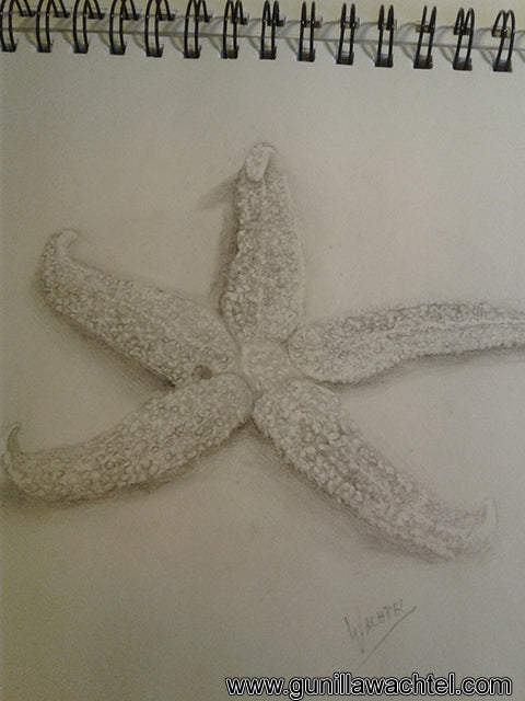 Artwork in Progress Update - Starfish