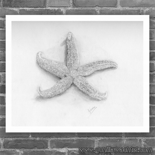 Beaches - Starfish print featured