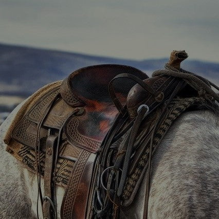 Horseback adventures