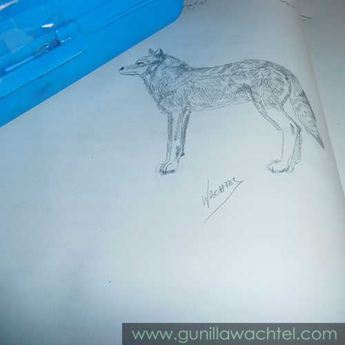 Drawings, Paintings or Both?