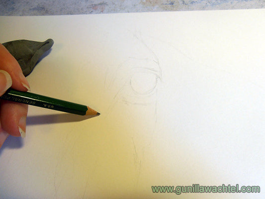 Sneak Peek at New Horse Drawing Series