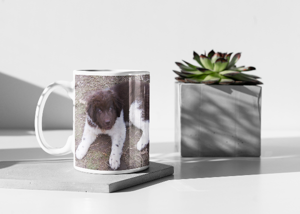 Cleo newfie new pup landseer newfoundland dog mug 11oz ceramic