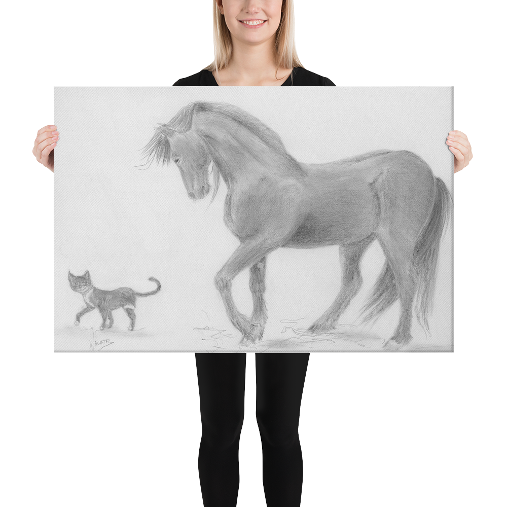 Friesian Horse and cat Equine Drawing Gunilla Wachtel Canvas Print