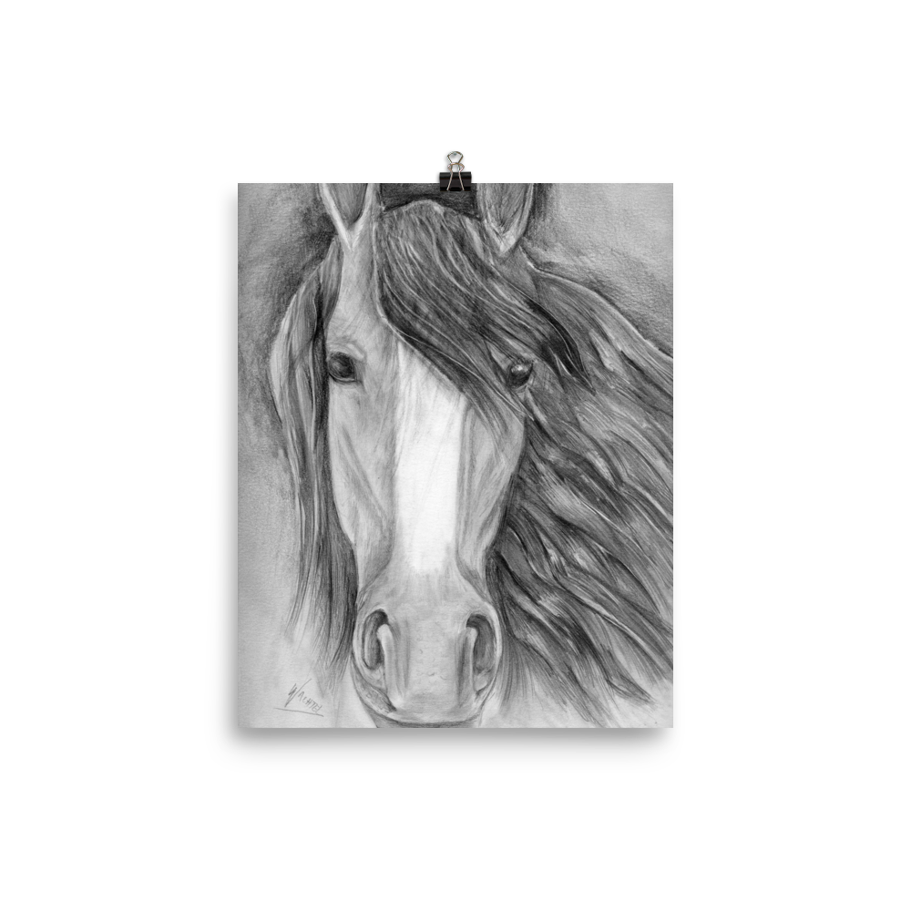 Equine Fine Art Poster Equestrian Wall Art Horse Drawing Wachtel
