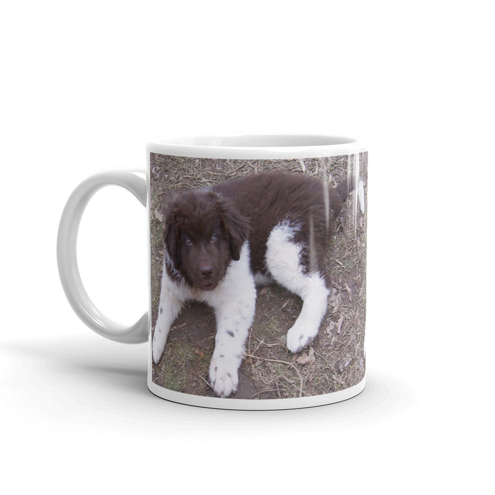 Newfoundland Dog Landseer Brown White Puppy Mug