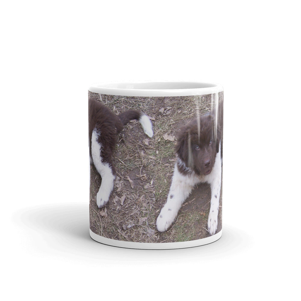 Newfoundland Dog Landseer Brown White Puppy Mug cute