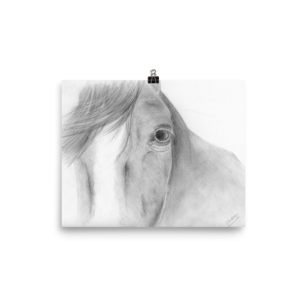 Equine Horse Head Fine Art Poster Animal Drawing Equestrian Print Decor