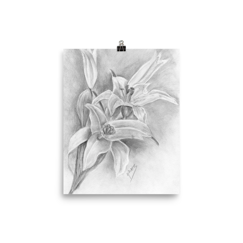 Stargazer Lily Flower Fine Art Poster Print