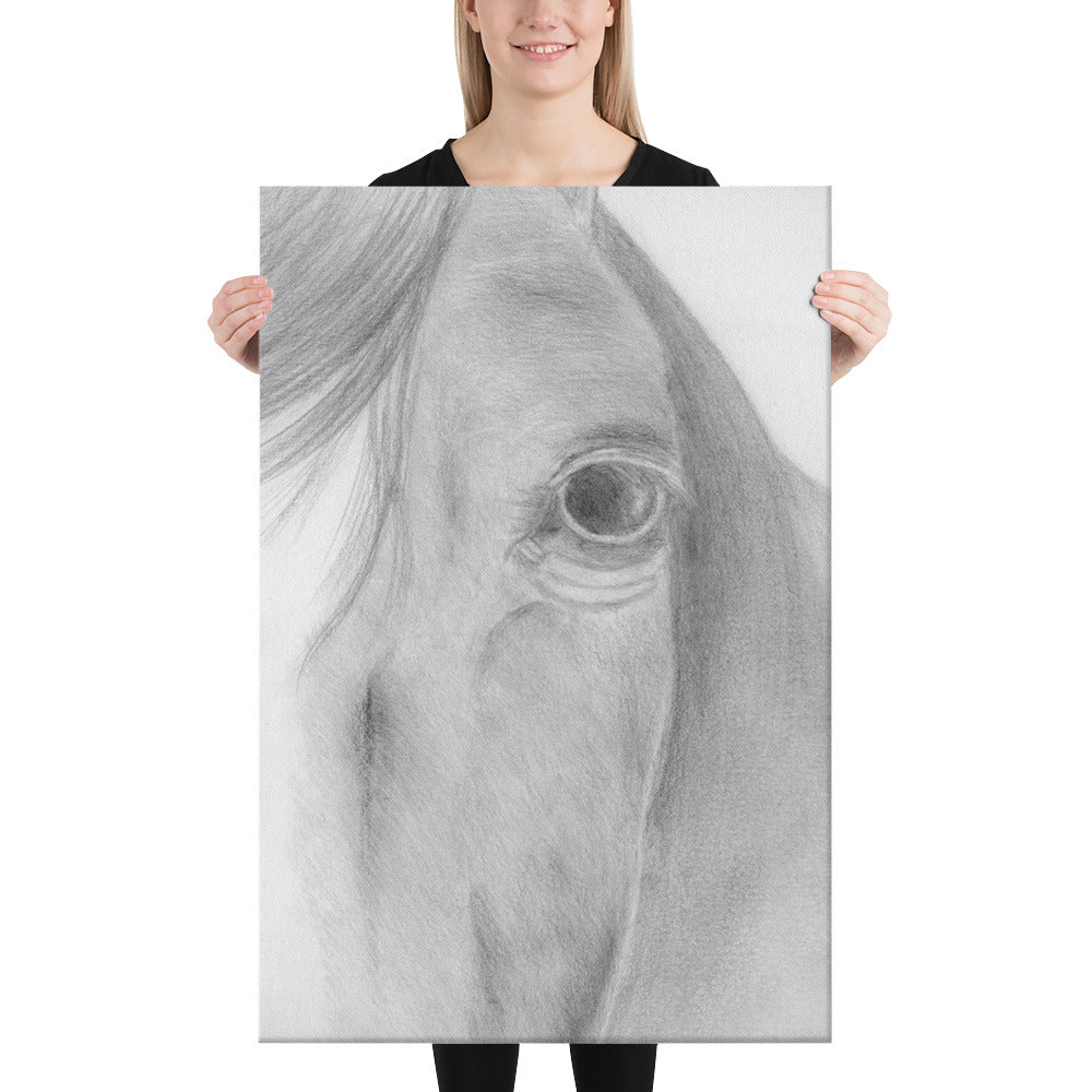 Equine Horse Animal Canvas Drawing Wall Art Horse Equestrian Art Print Decor large huge