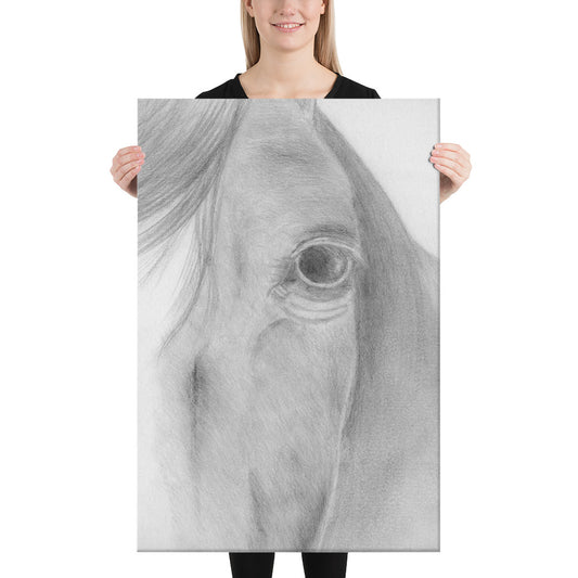 Equine Horse Animal Canvas Drawing Wall Art Horse Equestrian Art Print Decor large huge