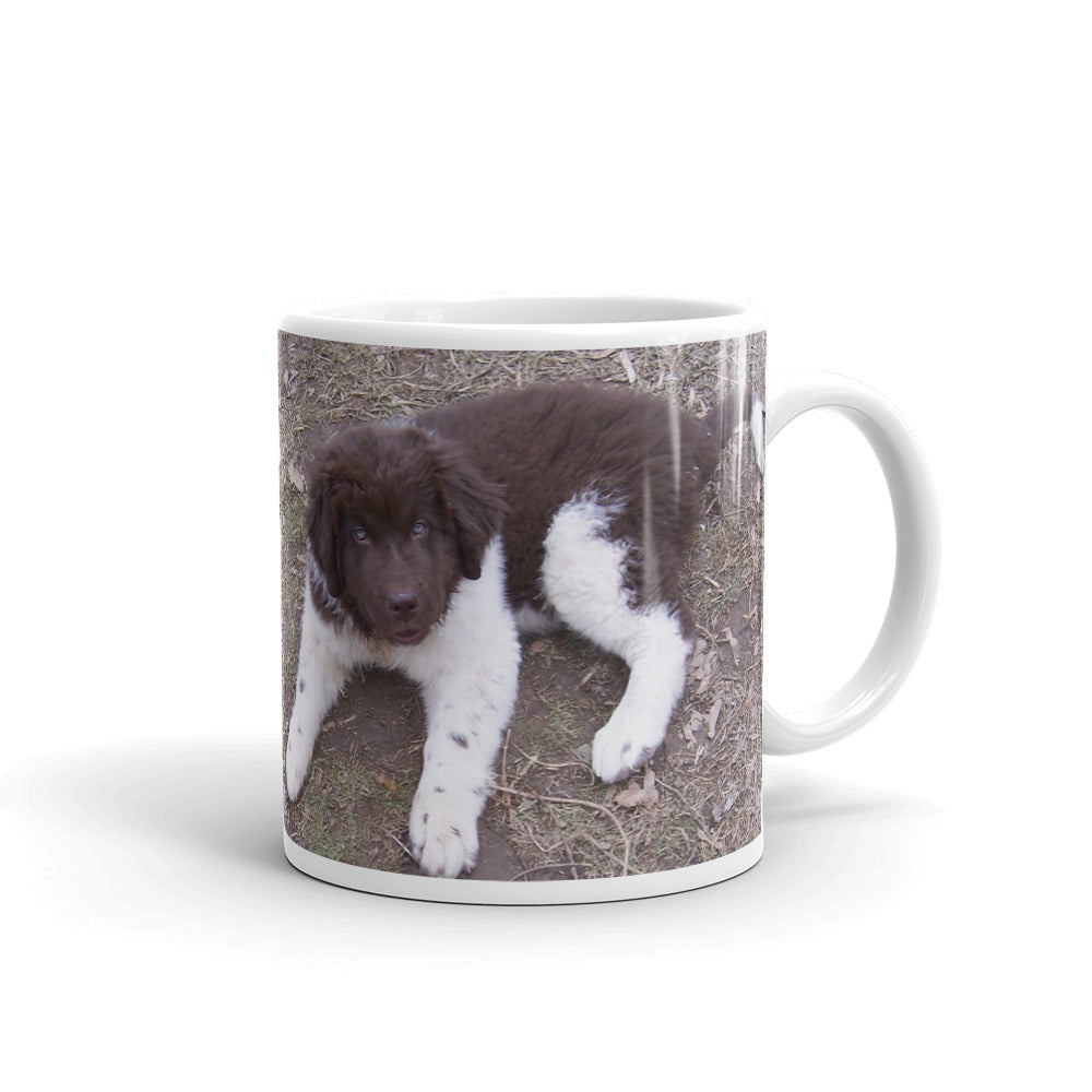 Newfoundland Dog Landseer Brown White Puppy Mug pup