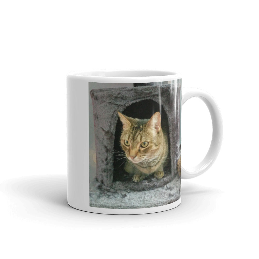 gift for cats lovers Tiggy The Tabby Cat Studio Helper Mug