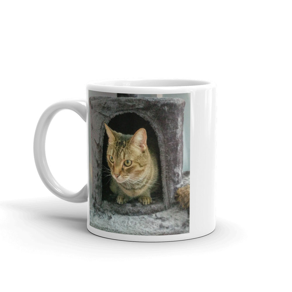 Tiggy The Tabby Cat Studio Helper Mug