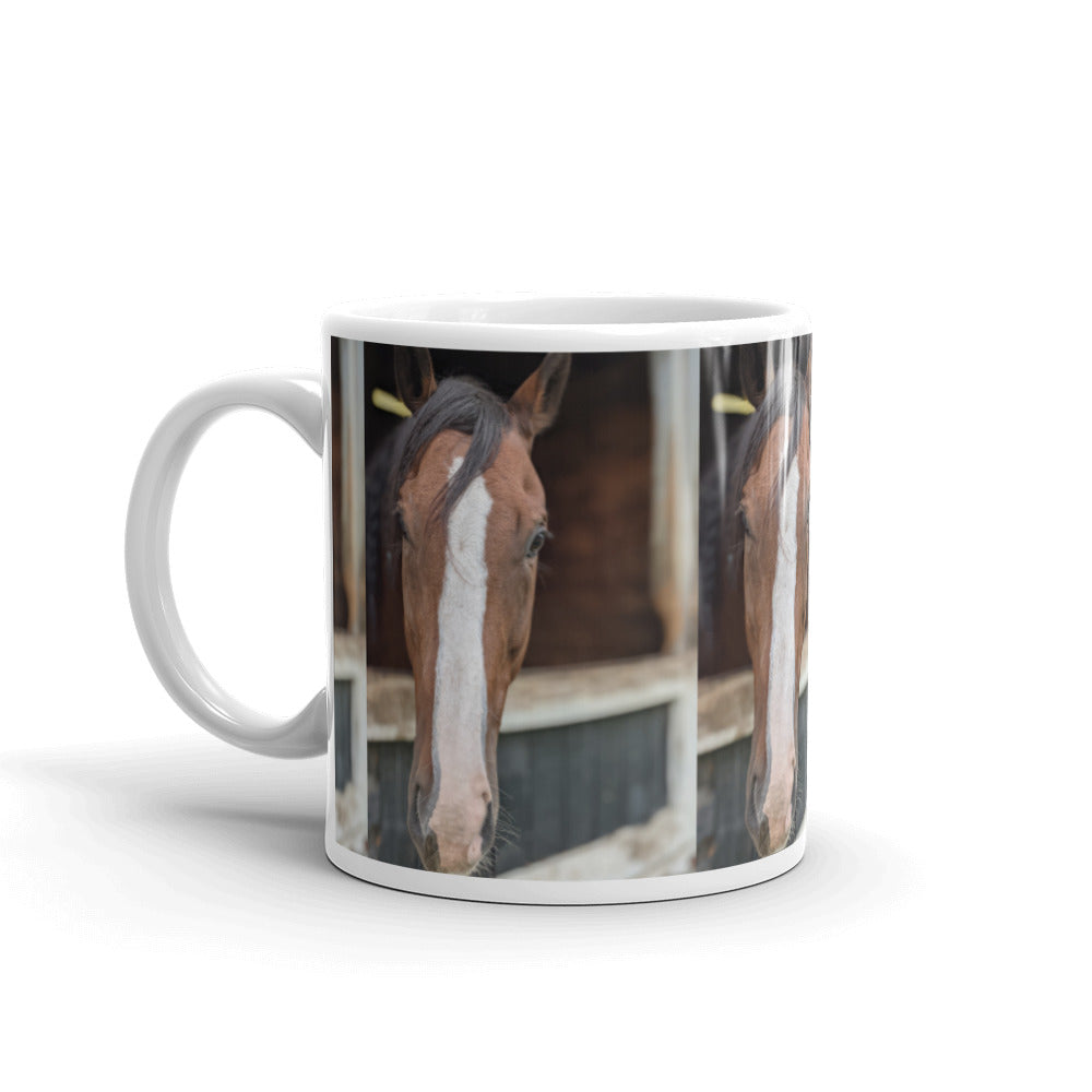 Beautiful horse head