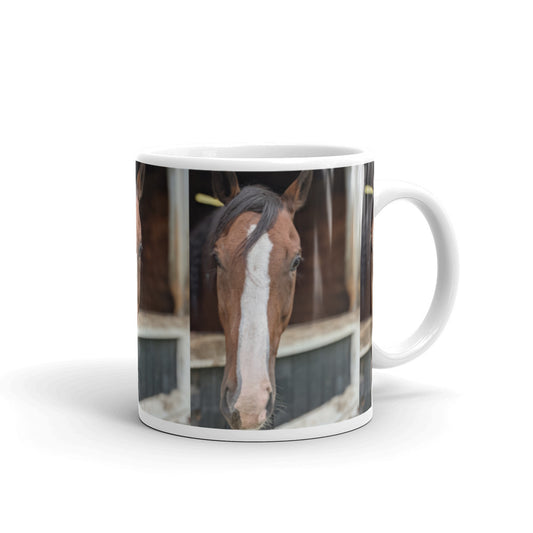 Bay horse with blaze